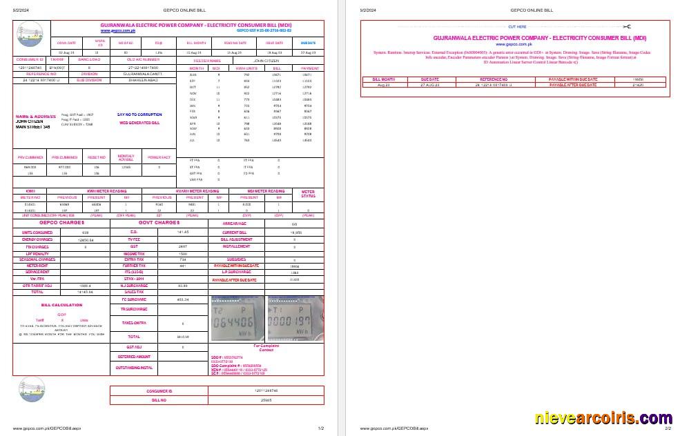 Pakistan Gujanwala electric power company electricity utility bil, 2 pages